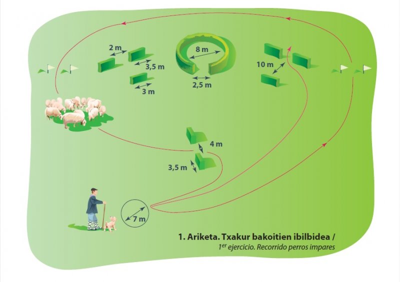 Euskal Herria, 2016, Riki Eskortan sartzen